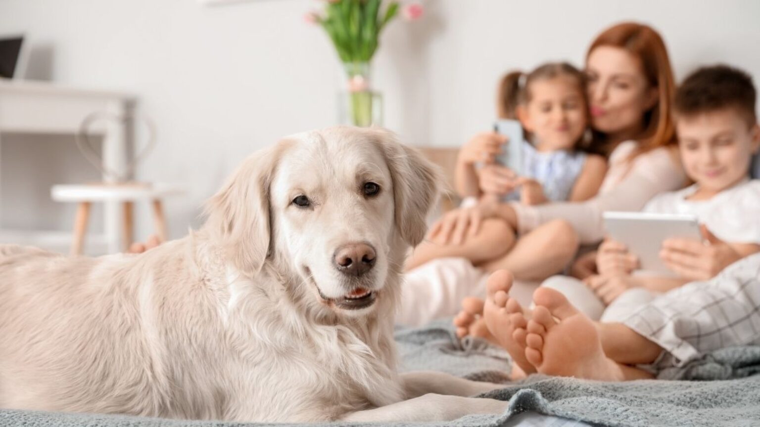 Visi norime, kad mūsų ištikimi keturkojai draugai būtų su mumis kuo ilgiau – juk jie yra tikri šeimos nariai.