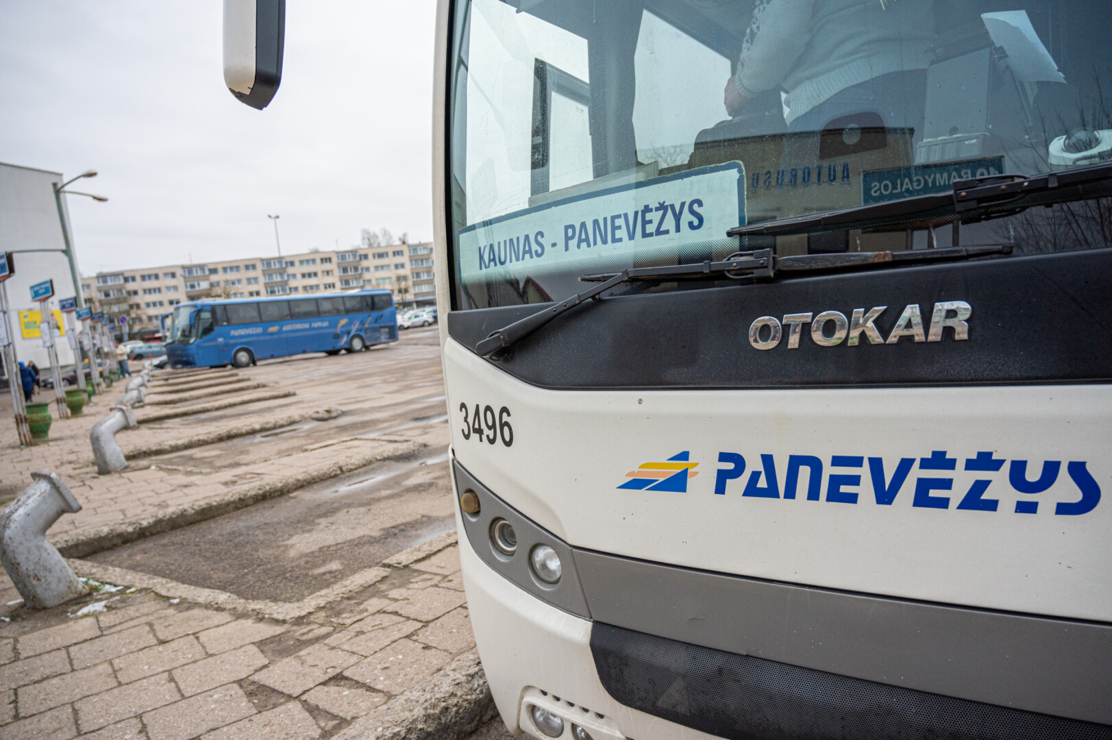 Nuo šiol pusę kainos už kelionę tarpmiestiniu autobusu mokės ne tik senjorai, bet ir vaikai, o savaitgaliais ir švenčių dienomis – ir jų tėvai ar globėjai. P. ŽIDONIO nuotr.