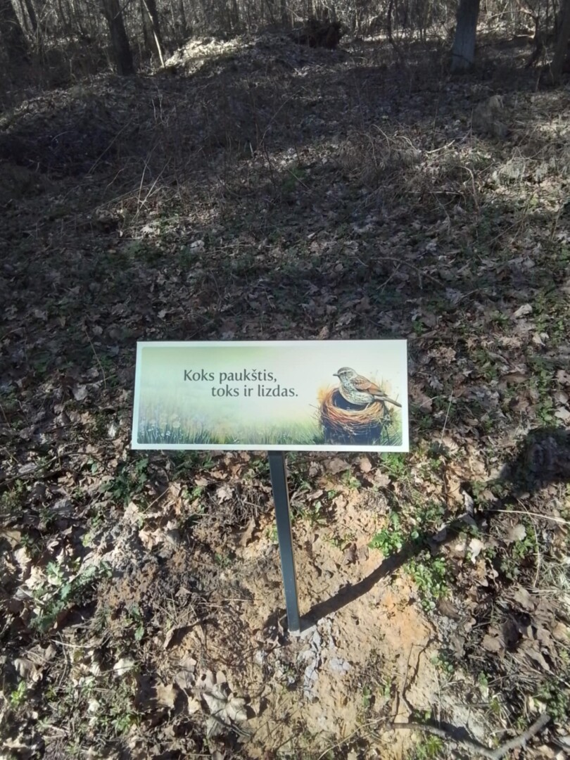 Egidijaus ANIULIO nuotr. 