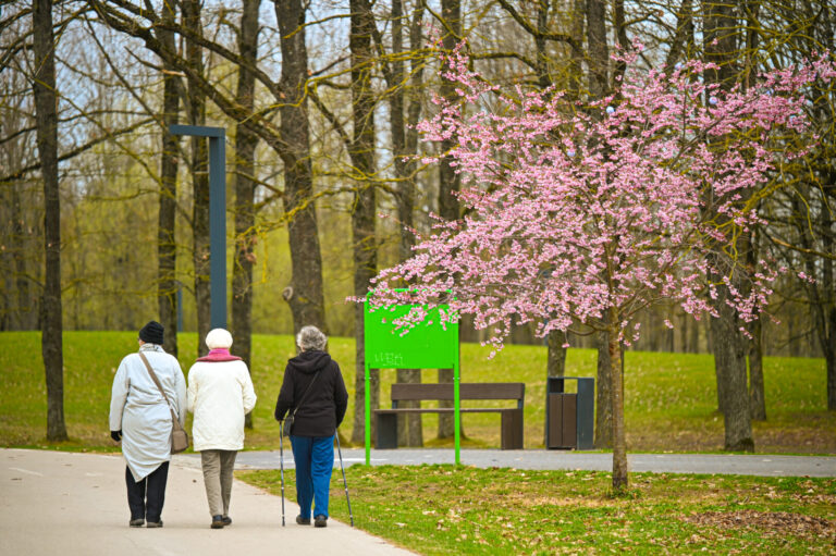 Lietuvą ketvirtadienio vakarą pasieks iš Šiaurės Afrikos vėjų atneštos Sacharos dykumos dulkės. Todėl, pasak meteorologo Gyčio Valaikos, artimiausiomis dienomis šalyje pablogės oro kokybė.