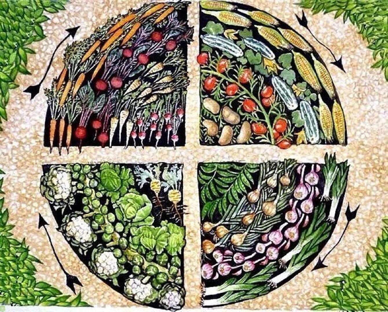 Neužtenka tik kaitalioti augalus lysvėse kiekvieną sezoną – kad neliktume be derliaus, turime išmanyti tinkamą jų seką ir patį sėjomainos principą.