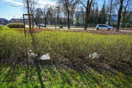 Vienoje labiausiai šiukšlinamų Panevėžio vietų – P. Plechavičiaus skvere bus pastatytos uždengiamos šiukšliadėžės.