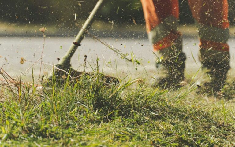 Panevėžio rajono seniūnijose nuo gegužės bus įdarbinti aštuoni etatiniai darbininkai.