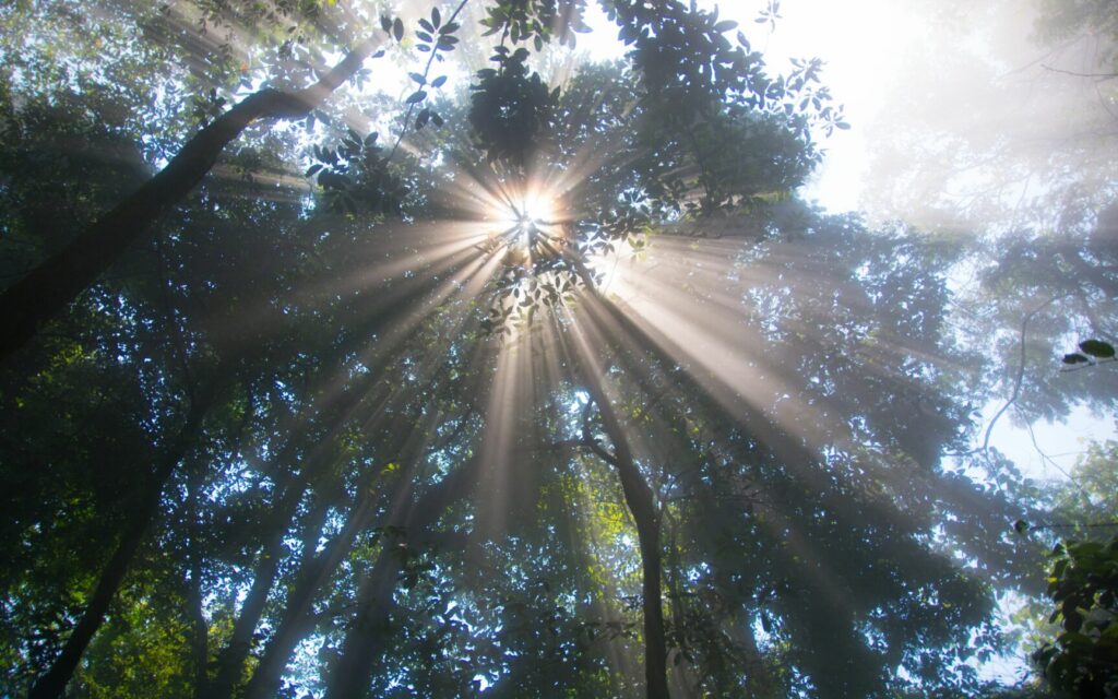 Po gan intensyvaus balandžio, suteikusio galimybę vėl grožėtis šiaurės pašvaistėmis, gegužė, išankstinėmis prognozėmis, neleis lengviau atsikvėpti.