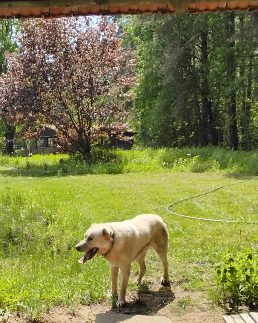 A. PUIKIENĖS nuotr.