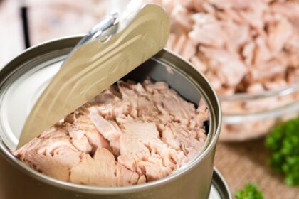 Kai norisi skanios ir sveikos žuvies, daugelis renkasi tuną.