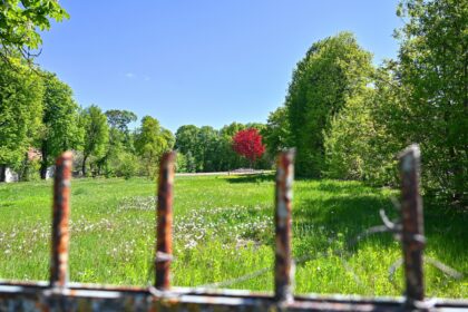 Panevėžiečiai nekantriai laukia, kol ties Smėlynės ir Trumposios gatvių sankirta vietoj nugriauto vaikų lopšelio-darželio iškils Savivaldybės planuojama statyti daugiau kaip dviejų šimtų vietų automobilių stovėjimo aikštelė.