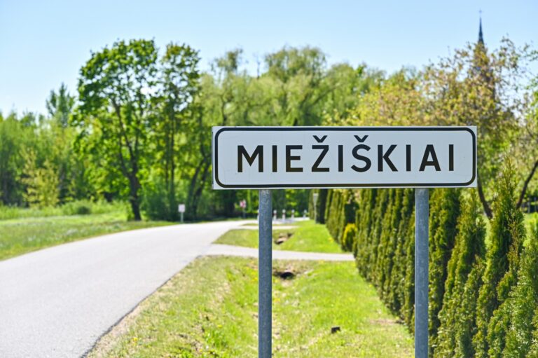 Panevėžio rajono jaukų Miežiškių miestelį supurtė iki šiol nematyti išpuoliai.
