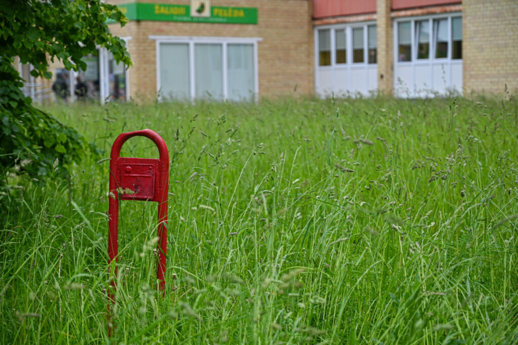 Prasidėjus kalendorinei vasarai, darbymetis prasideda ir viešosios tvarkos specialistams – visą birželį intensyviai bus tikrinama, ar daugiabučių bendrijos ir individualių sklypų savininkai tinkamai rūpinasi savo teritorija.