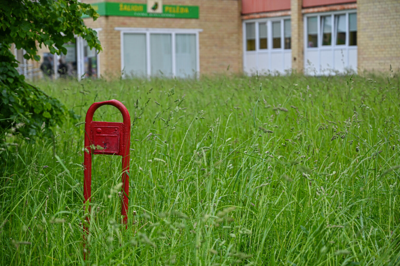 Prasidėjus kalendorinei vasarai, darbymetis prasideda ir viešosios tvarkos specialistams – visą birželį intensyviai bus tikrinama, ar daugiabučių bendrijos ir individualių sklypų savininkai tinkamai rūpinasi savo teritorija.