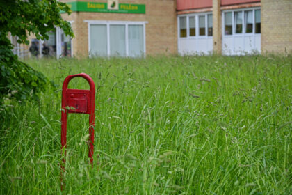 Prasidėjus kalendorinei vasarai, darbymetis prasideda ir viešosios tvarkos specialistams – visą birželį intensyviai bus tikrinama, ar daugiabučių bendrijos ir individualių sklypų savininkai tinkamai rūpinasi savo teritorija.