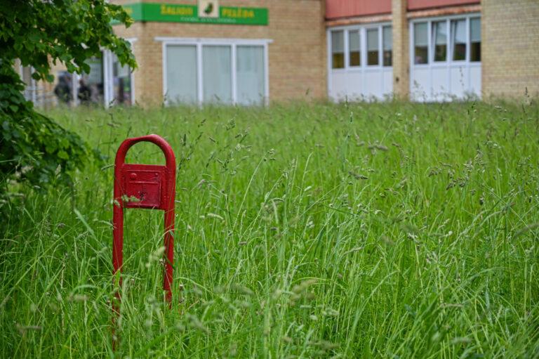 Prasidėjus kalendorinei vasarai, darbymetis prasideda ir viešosios tvarkos specialistams – visą birželį intensyviai bus tikrinama, ar daugiabučių bendrijos ir individualių sklypų savininkai tinkamai rūpinasi savo teritorija.