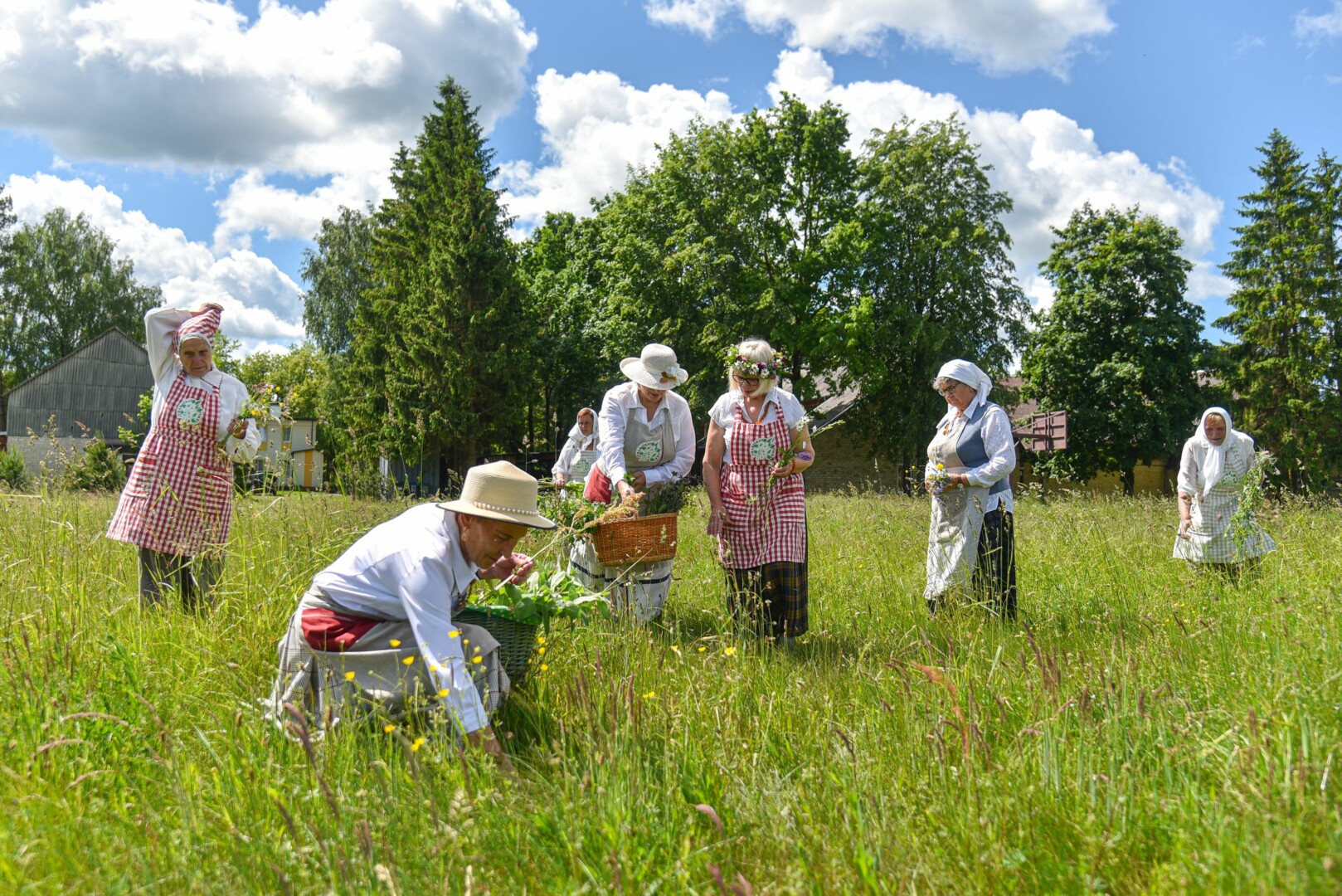 Trakiškio žolininkės. P. ŽIDONIO nuotr.