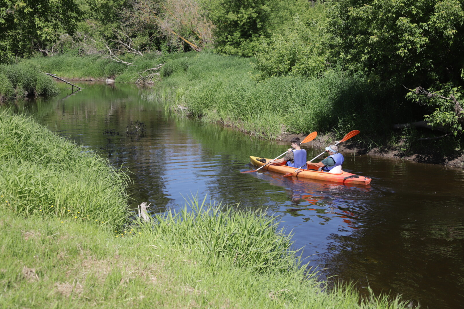 Šiemet baidarių nuoma plaukikams Nevėžio, Šuojos ir Lėvens upėmis startavo antrą birželio savaitgalį. I. STULGAITĖS-KRIUKIENĖS nuotr.