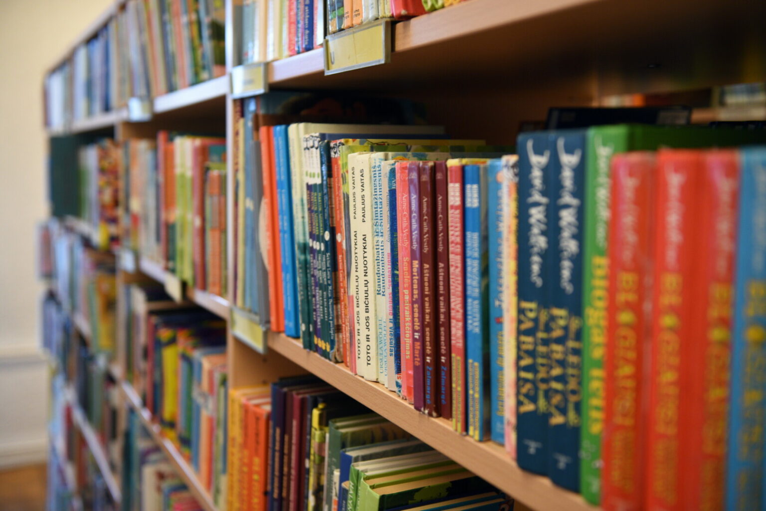 Inga KONTRIMAVIČIŪTĖ