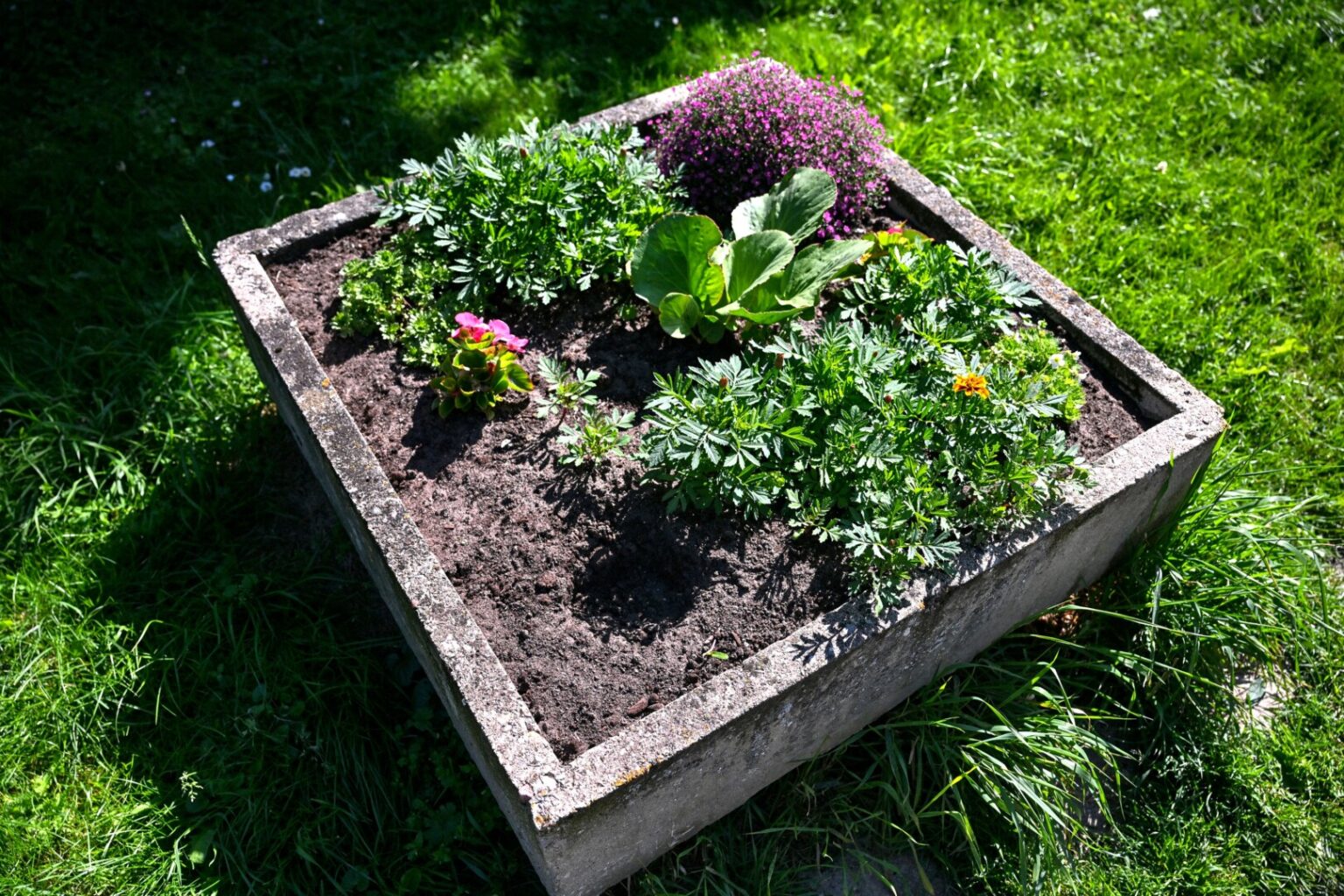Einantiesiems palei Žemaičių kvartalą kertantį Žagienio upelį akis neabejotinai užkliuvo už savadarbio plakato. Užrašas „Vagie, neliesk gėlių!“ čia įbestas ilgapirščių sąžinei žadinti: vieno daugiabučio gyventojai, nebeapsikentę jų gėlynus su visomis šaknimis raunančių vandalų, tikėjosi nors šitaip juos pagėdinti.