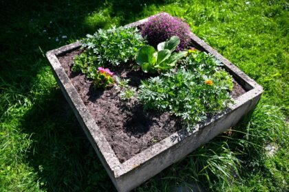 Einantiesiems palei Žemaičių kvartalą kertantį Žagienio upelį akis neabejotinai užkliuvo už savadarbio plakato. Užrašas „Vagie, neliesk gėlių!“ čia įbestas ilgapirščių sąžinei žadinti: vieno daugiabučio gyventojai, nebeapsikentę jų gėlynus su visomis šaknimis raunančių vandalų, tikėjosi nors šitaip juos pagėdinti.