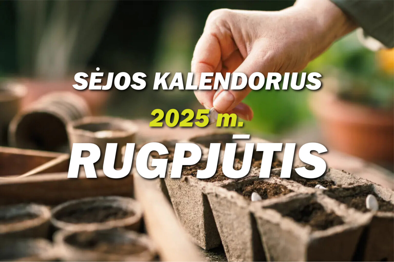 Sėjos ir kitų daržo darbų kalendorius – nepakeičiamas pagalbininkas kiekvienam sodininkui mėgėjui, trokštančiam gausaus derliaus.