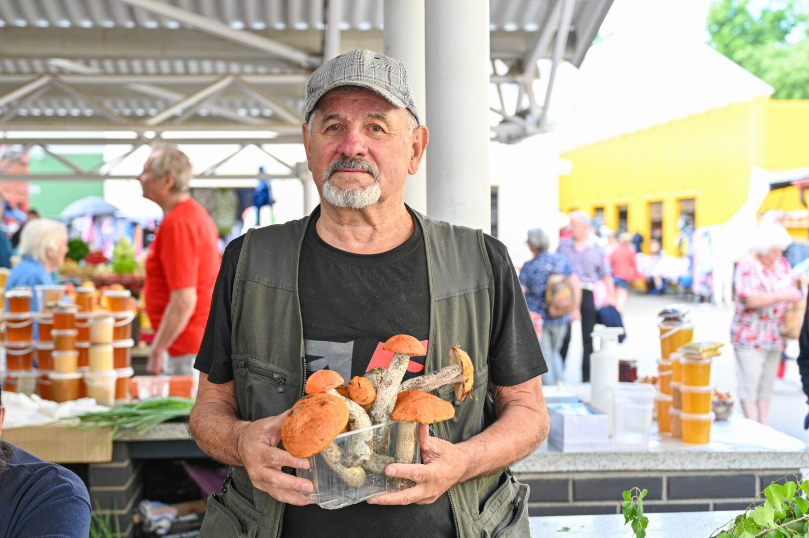 Panevėžietis grybavimo entuziastas Vytautas Šteinas pernai pirmųjų raudonviršių ragavo dar gegužei baigiantis, tačiau ir šiųmetį dygimą vadina ankstyvu. P. ŽIDONIO nuotr.