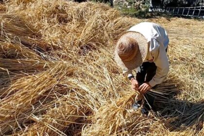 Jau savaitgalį krikščioniškasis pasaulis švęs Jėzaus Kristaus senelių – šventųjų Onos ir Joakimo vardadienius.