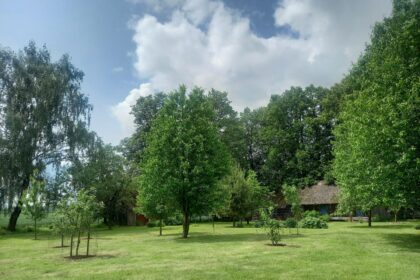 Šiltasis metas duoda naują impulsą nekilnojamojo turto rinkai – suaktyvėja sodybų ir sodų pardavimai.