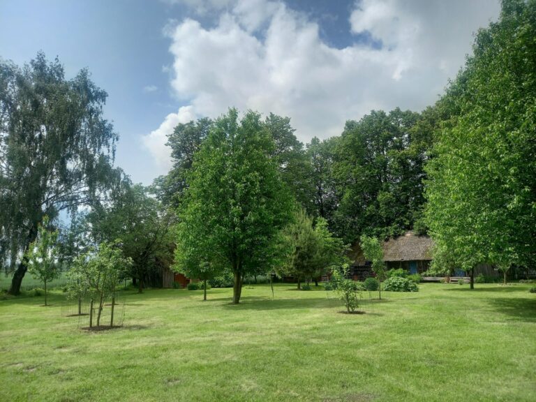 Šiltasis metas duoda naują impulsą nekilnojamojo turto rinkai – suaktyvėja sodybų ir sodų pardavimai.