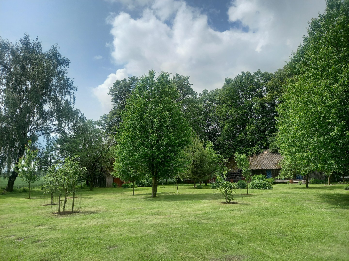 Šiltasis metas duoda naują impulsą nekilnojamojo turto rinkai – suaktyvėja sodybų ir sodų pardavimai.