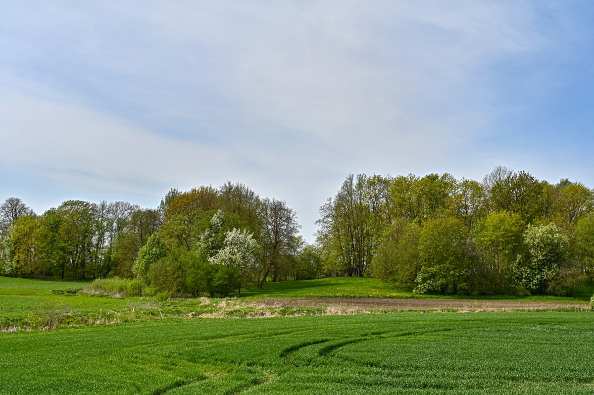Liubičiaus dvarvietė. PANEVĖŽIO KRAŠTOTYROS MUZIEJAUS nuotr.