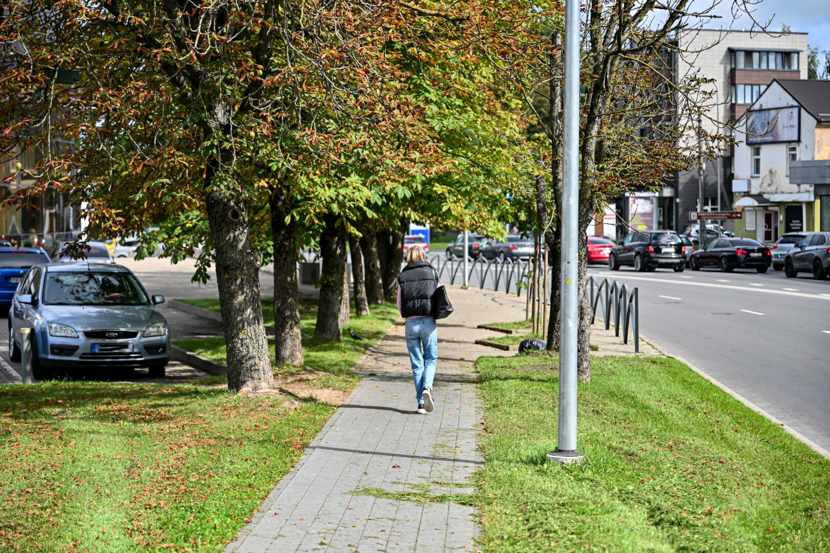 Aukštaitijos sostinėje kaštonai sudaro apie 9 proc. visų medžių. G. KARTANO nuotr.
