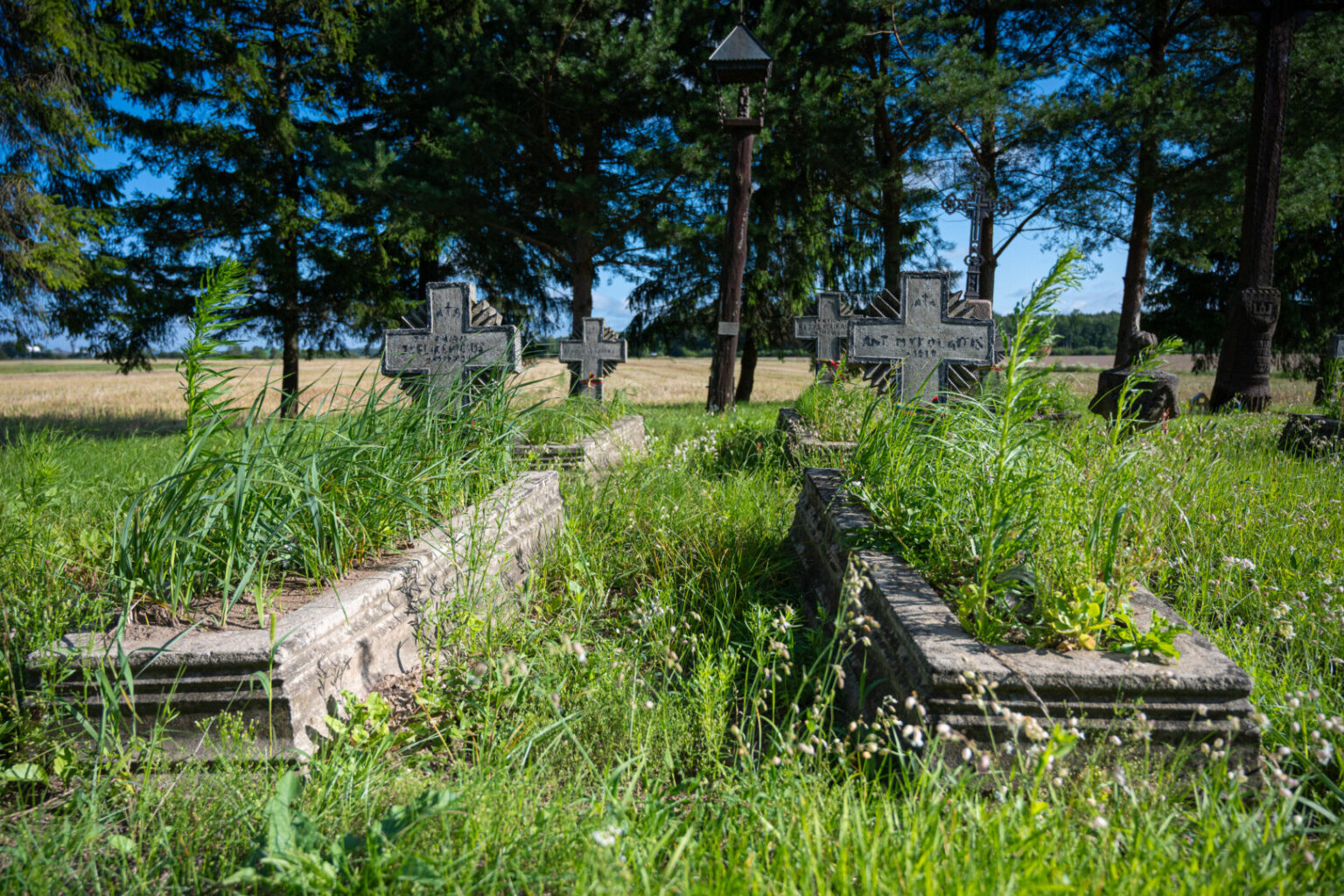Panevėžio rajone esančioje Liūdynėje, šalia Senojo Vilniaus kelio stūksančios valstybės saugomos Lietuvos savanorių kapinaitės atrodo tarsi po plėšikų antpuolio.