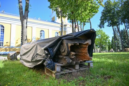 Prie Panevėžio Kristaus Karaliaus katedros tris dešimtmečius stovėjusi unikali ąžuolinė skulptūra – talentingo tautodailininko Vytauto Ulevičiaus sukurtas „Rūpintojėlis“ – šiandien dūla parapijos namų pasienyje po plėvele tarsi svetimkūnis savame mieste.