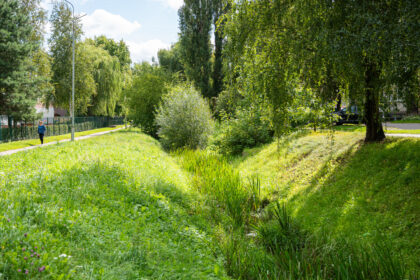 Panevėžio penkiuose tankiausiai apgyvendintuose daugiabučių kvartaluose planuojama pasodinti kelis tūkstančius medžių ir krūmų, naujų gėlynų.