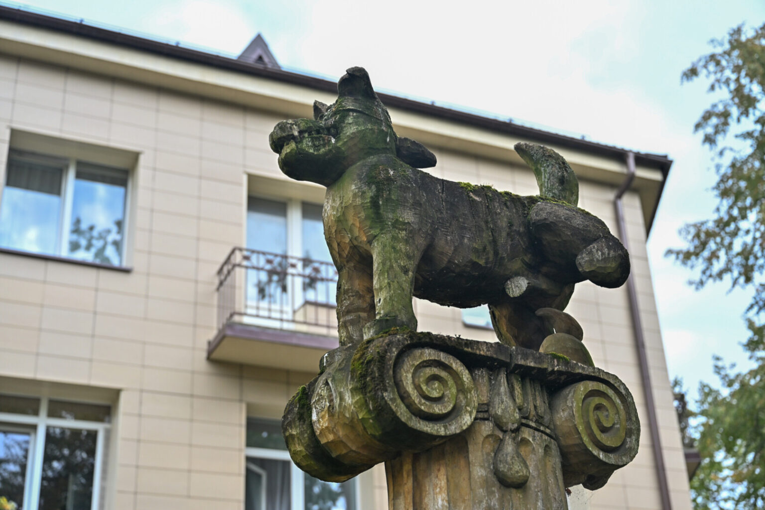 Pievoje, plytinčioje šalia Marijonų gatvės ir Liepų alėjos sankirtos, stovinčios šuns pakelta koja skulptūros dienos suskaičiuotos.