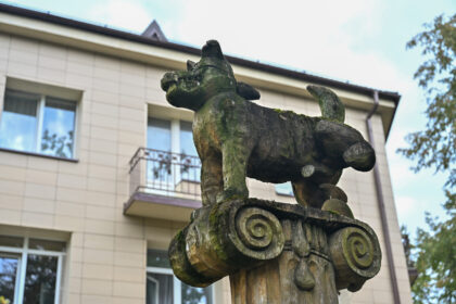 Pievoje, plytinčioje šalia Marijonų gatvės ir Liepų alėjos sankirtos, stovinčios šuns pakelta koja skulptūros dienos suskaičiuotos.