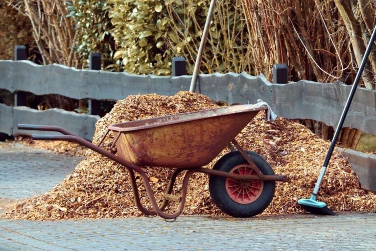 Kaip tinkamai mulčiuoti uogynus rudenį – kas tinka, kas kenkia ir kodėl?