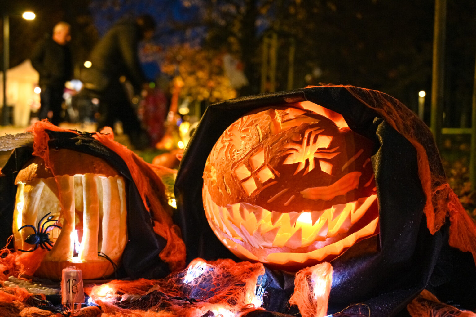 Penktą rudenį iš eilės miesto Kultūros ir poilsio parką nušvies žibintai iš moliūgų.