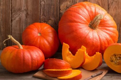 Panevėžio rajone užauginama daugiausia moliūgų visoje apskrityje.