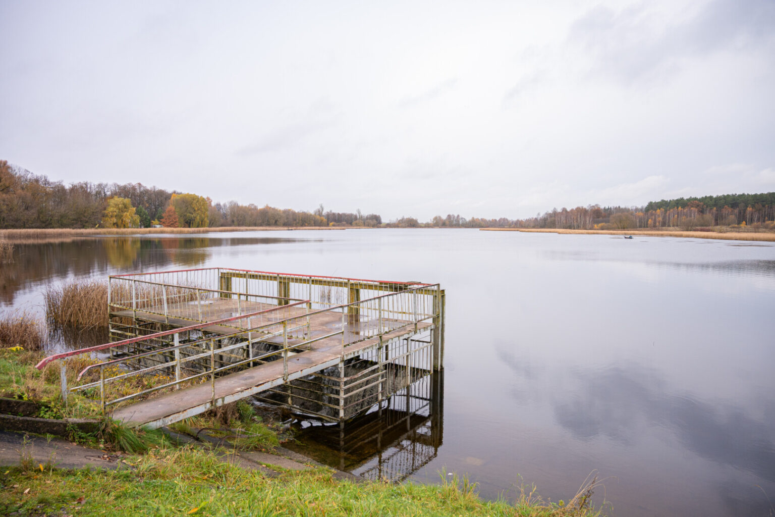 Pavasariais gulbių gausa garsėjantis Liberiškio tvenkinys mėgstamas ne tik paukščių ar žvejų.