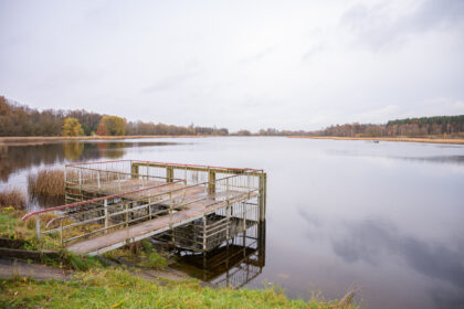 Pavasariais gulbių gausa garsėjantis Liberiškio tvenkinys mėgstamas ne tik paukščių ar žvejų.