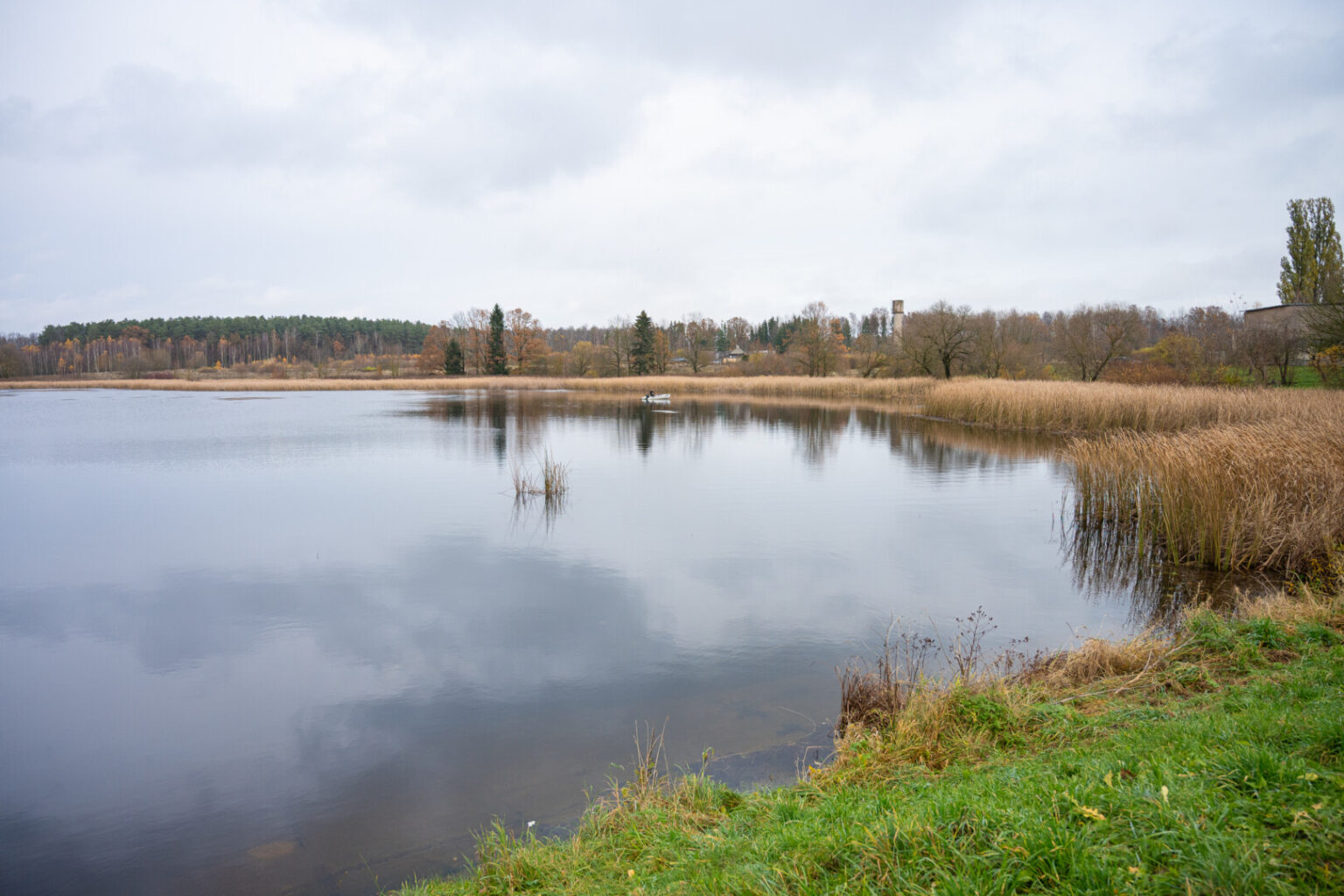 Pavasariais gulbių gausa garsėjantis Liberiškio tvenkinys mėgstamas ne tik paukščių ar žvejų.