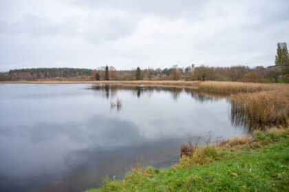 Pavasariais gulbių gausa garsėjantis Liberiškio tvenkinys mėgstamas ne tik paukščių ar žvejų.