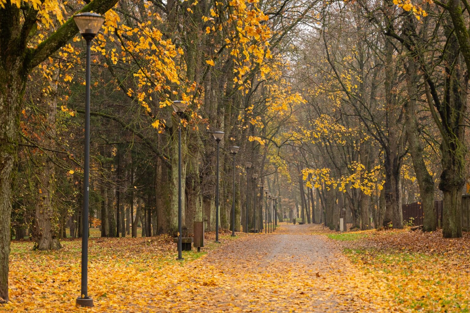Lapkričio pradžioje Lietuvoje išliks šilti ir ramūs orai, praneša sinoptikė.