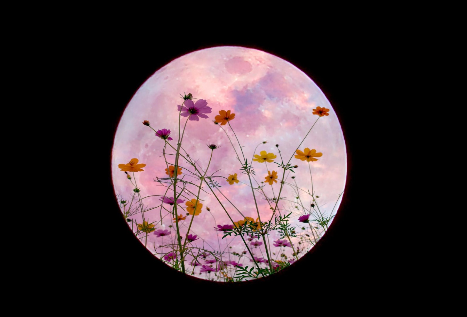 Ir ką iš tiesų galvoja mokslas apie populiariuosius Mėnulio kalendorius ir „mistiškas“ pilnaties galias.