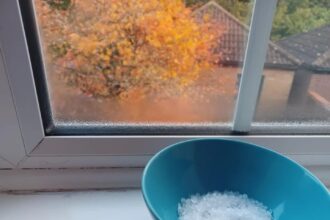 Kiekvieną rudenį ir žiemą ant kai kurių namų palangių galima pamatyti keistą vaizdą – lėkštę su druska.