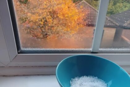 Kiekvieną rudenį ir žiemą ant kai kurių namų palangių galima pamatyti keistą vaizdą – lėkštę su druska.