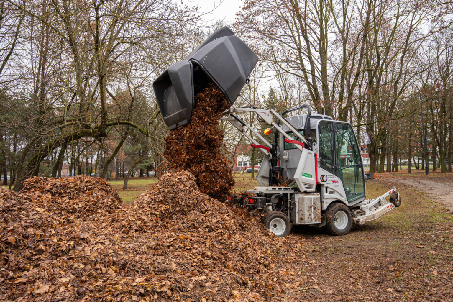 Šiuo metu visame mieste – tiek viešosiose teritorijose, tiek prie daugiabučių – intensyviai grėbiami lapai. Jau keletą metų „Panevėžio specialus autotransportas“ iš daugiabučių kiemų bendrijų prašymu kartą per sezoną juos išveža nemokamai.