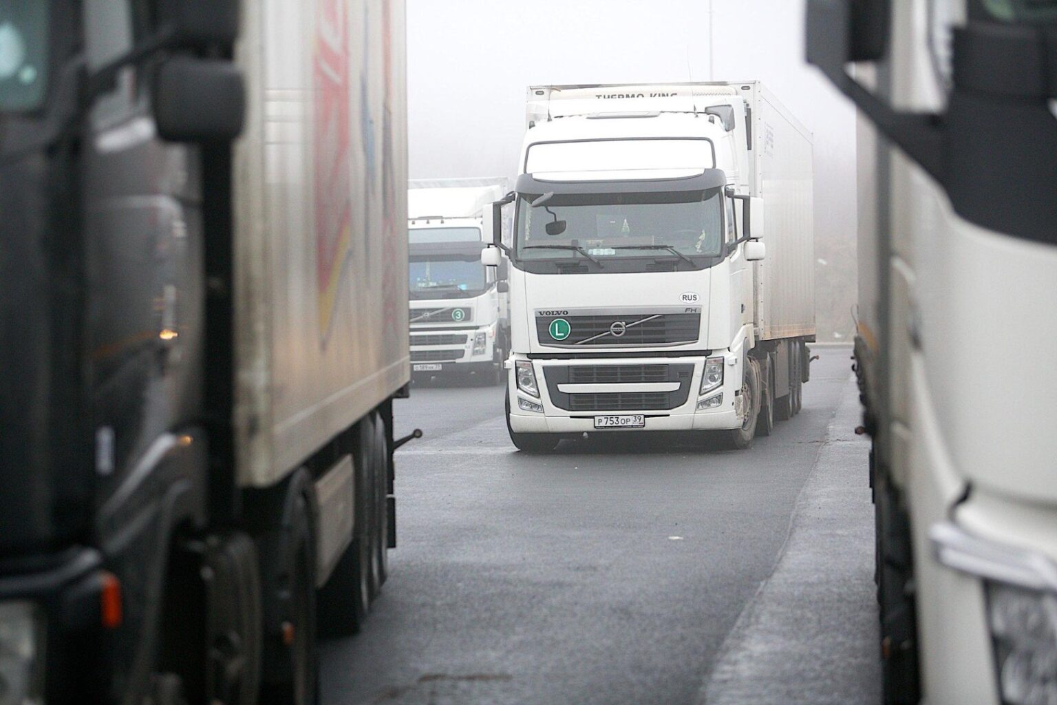 Platinti, skelbti, kopijuoti Eltos informacijas ir fotoinformacijas be raštiško Eltos sutikimo draudžiama.