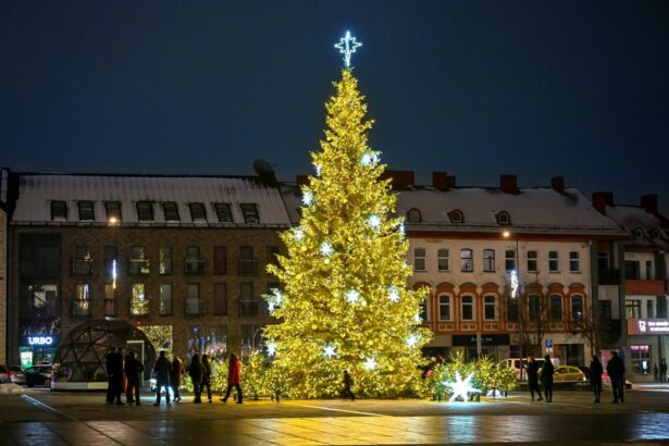 Nors iki Kalėdų dar liko keli mėnesiai, Panevėžys jau pradeda ruoštis didžiausioms metų šventėms. Miesto Savivaldybė ieško, kas šiemet sukurs kalėdinį veidą: papuoš Laisvės aikštę, centrines gatves ir svarbiausia – eglę. Kaip ir pernai, jos pageidaujama natūralios.