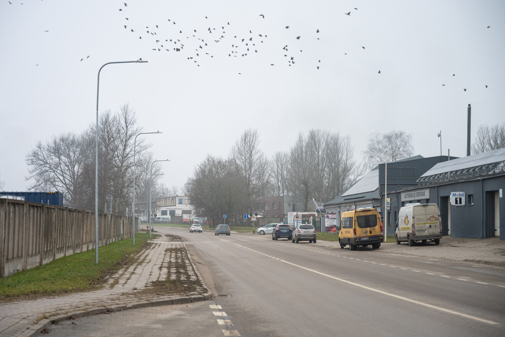 Dviračių ir pėsčiųjų takus planuojama atnaujinti visoje S. Kerbedžio gatvėje – nuo Nemuno gatvės žiedinės sankryžos iki pat Tinklų gatvės. P. ŽIDONIO nuotr. 