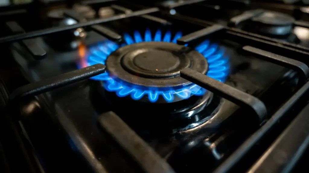 Nuo sausio įsigaliojant naujiems visuomeninio elektros ir gamtinių dujų tiekimo tarifams, rodmenis gyventojai turi deklaruoti iki gruodžio 31 dienos imtinai, primena Valstybinė energetikos reguliavimo taryba (VERT).